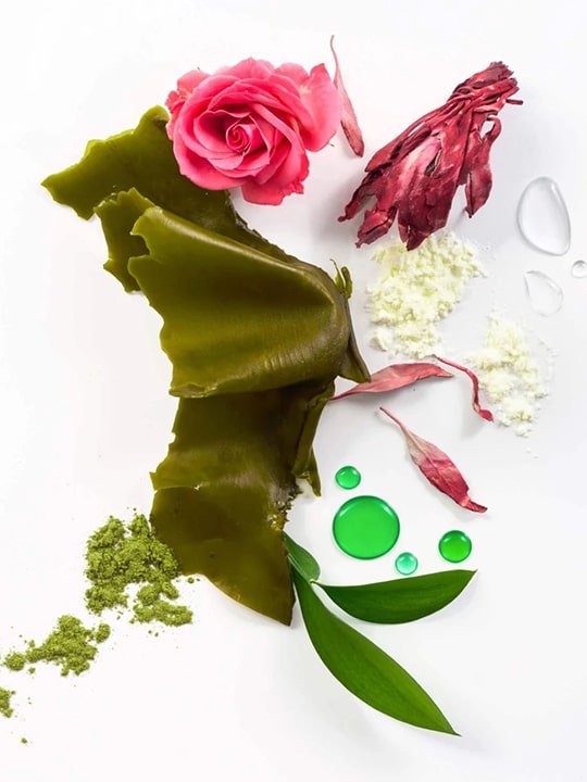 Shield Conditioner - Image 3